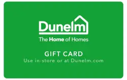 £250 Dunelm